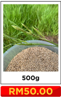 500Gram Supergrass Ruzi